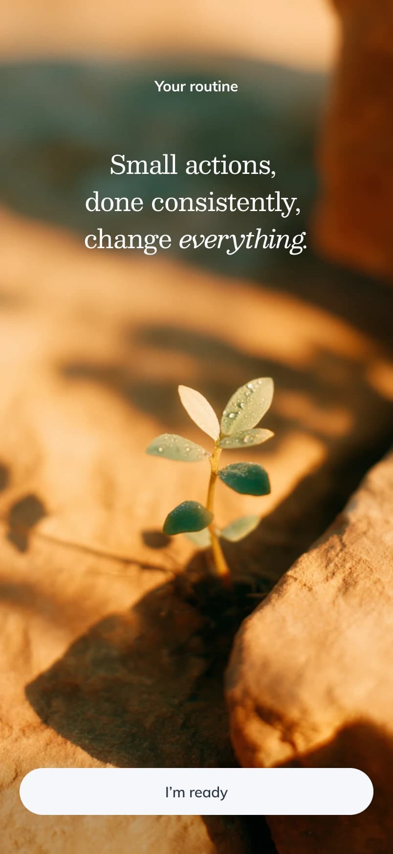 Routine intro screen — 'Small actions, done consistently, change everything.' over a full-bleed photo of a seedling